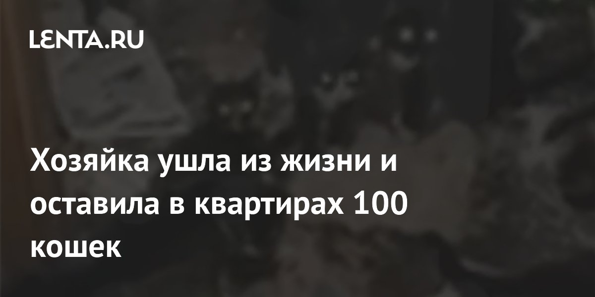 Хозяйка ушла из жизни и оставила в квартирах 100 кошек