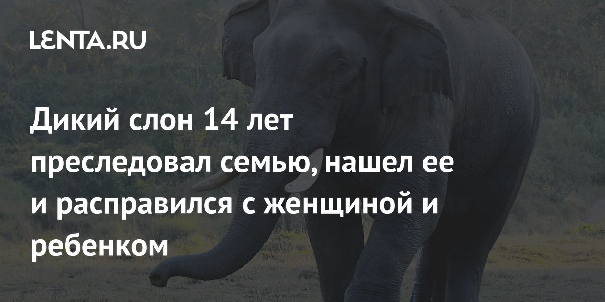 Дикий слон 14 лет преследовал семью, нашел ее и расправился с женщиной и ребенком