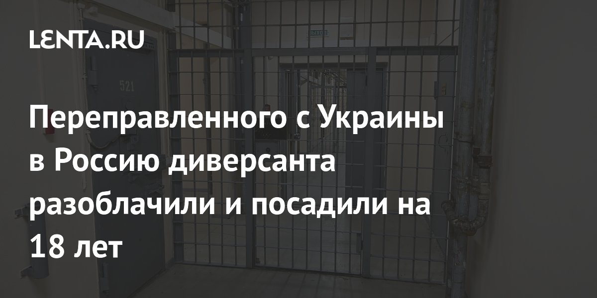 Переправленного с Украины в Россию диверсанта разоблачили и посадили на 18 лет