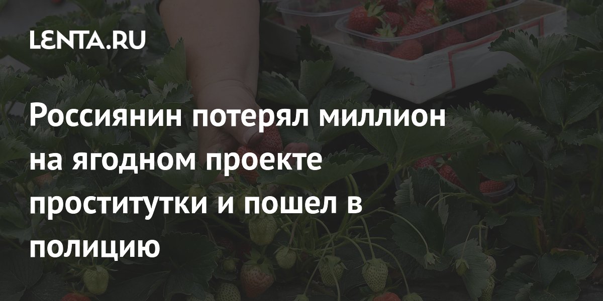 Россиянин потерял миллион на ягодном проекте проститутки и пошел в полицию