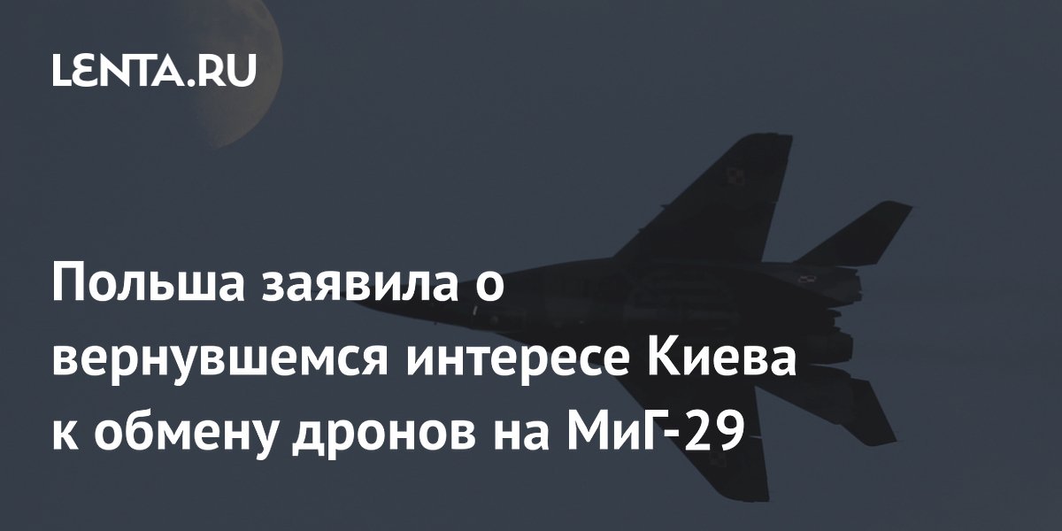 Польша заявила о вернувшемся интересе Киева к обмену дронов на МиГ-29