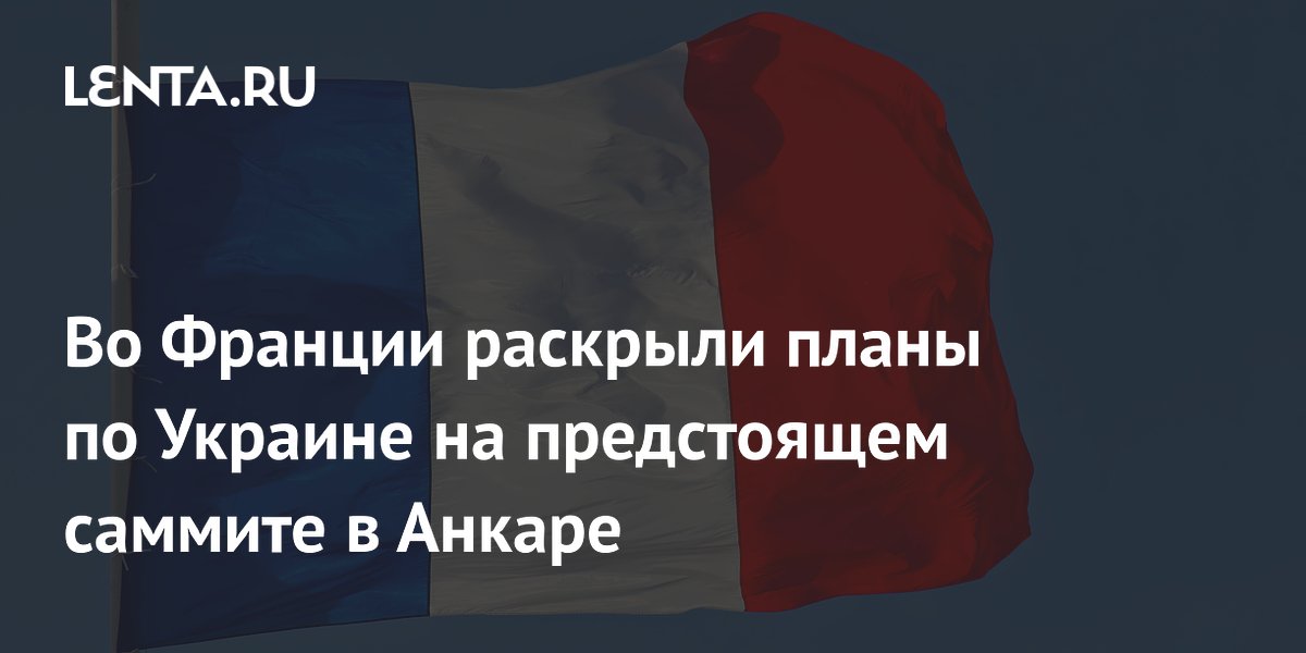 Во Франции раскрыли планы по Украине на предстоящем саммите в Анкаре
