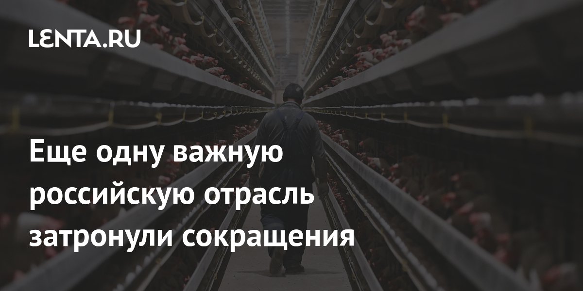 Еще одну важную российскую отрасль затронули сокращения