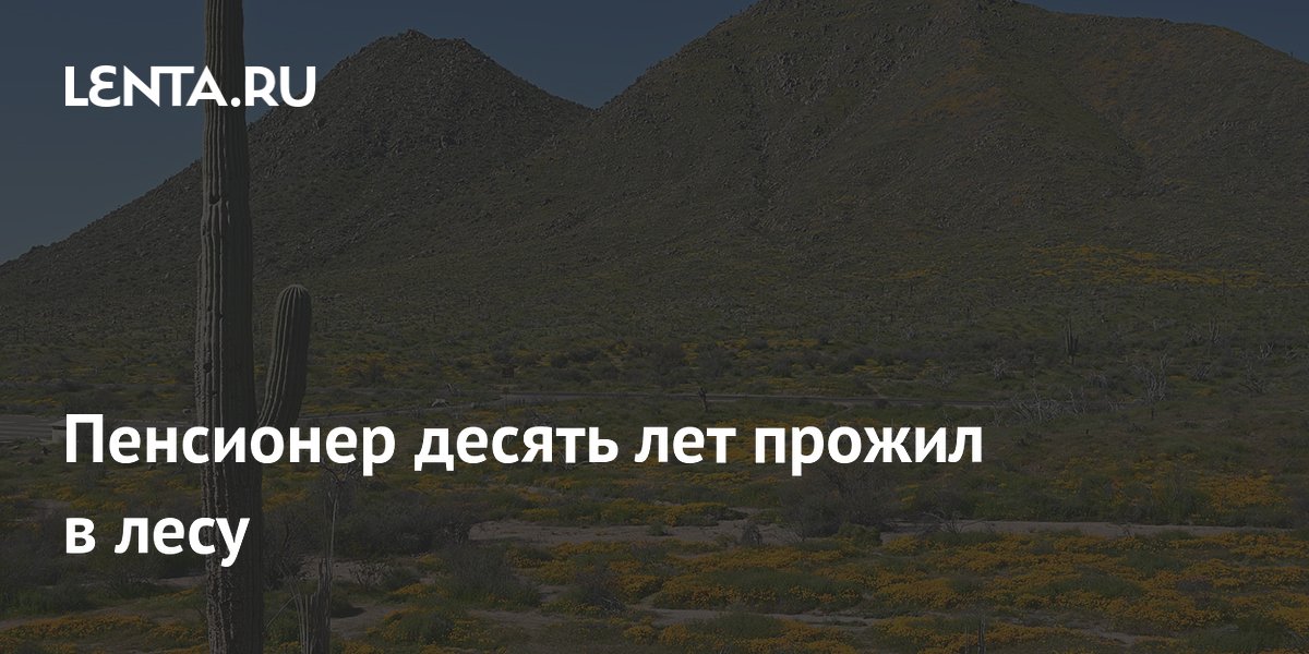 Пенсионер десять лет прожил в лесу