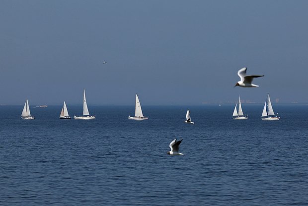 Вводная картинка