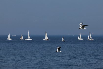 Фото