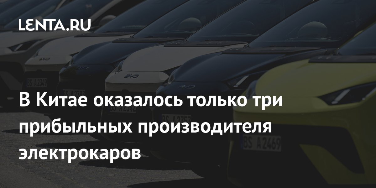 В Китае оказалось только три прибыльных производителя электрокаров