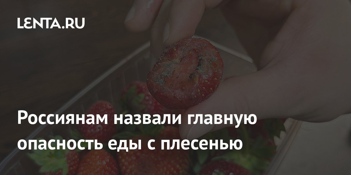 Россиянам назвали главную опасность еды с плесенью