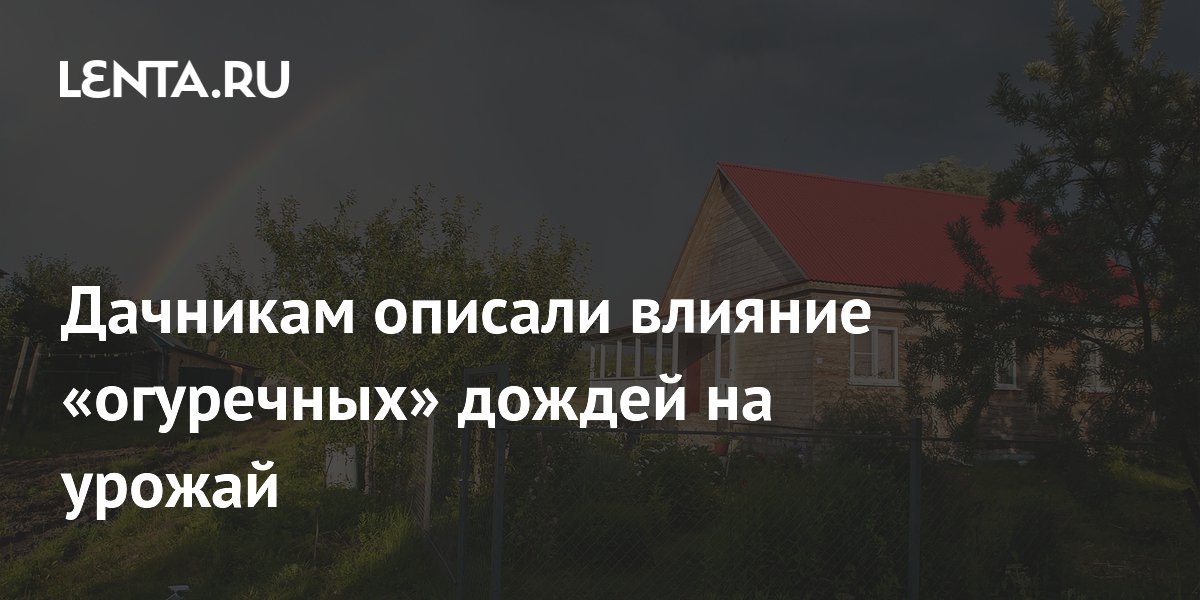 Дачникам описали влияние «огуречных» дождей на урожай