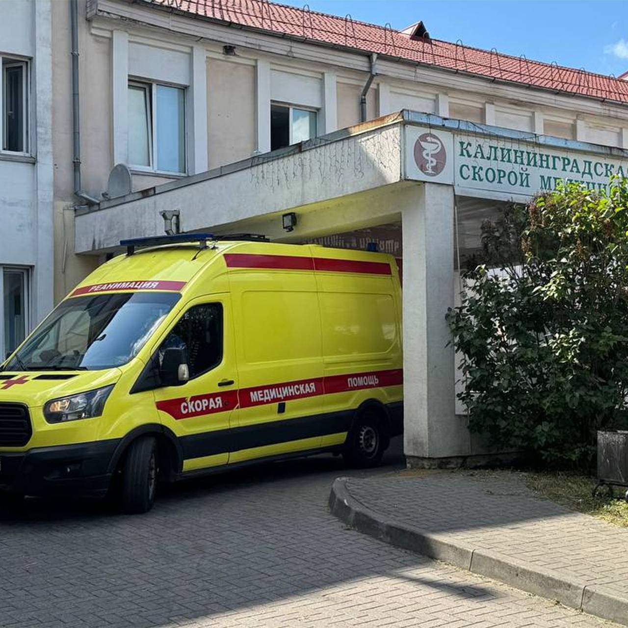 Спасшую выпавшего из окна ребенка пенсионерку захотели наградить премией Кеосаяна