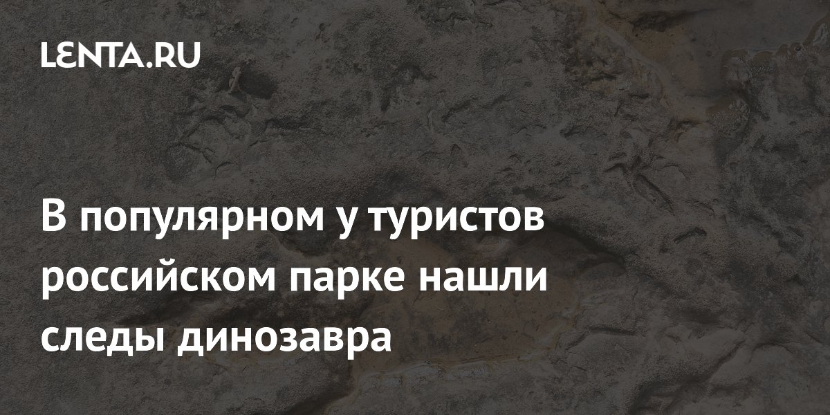 В популярном у туристов российском парке нашли следы динозавра