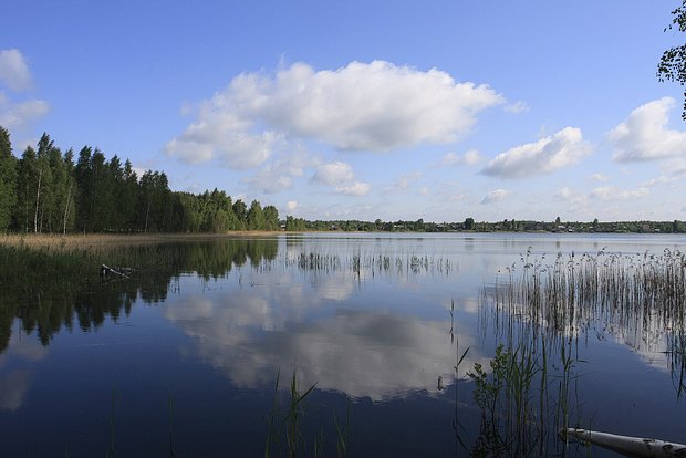 Вводная картинка