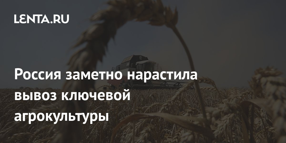 Россия заметно нарастила вывоз ключевой агрокультуры