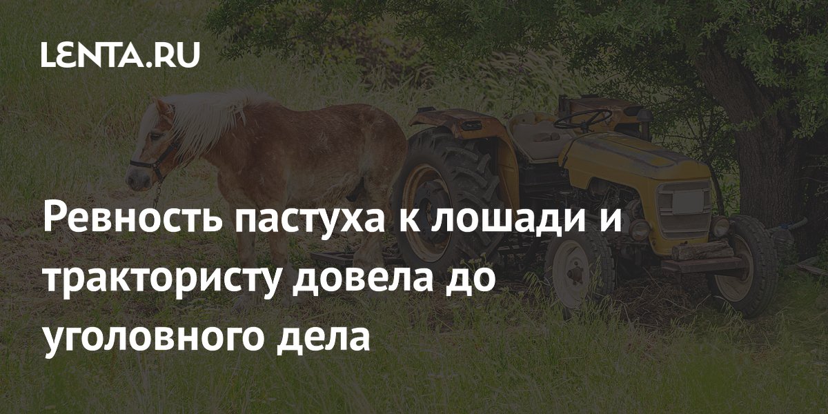 Ревность пастуха к лошади и трактористу довела до уголовного дела