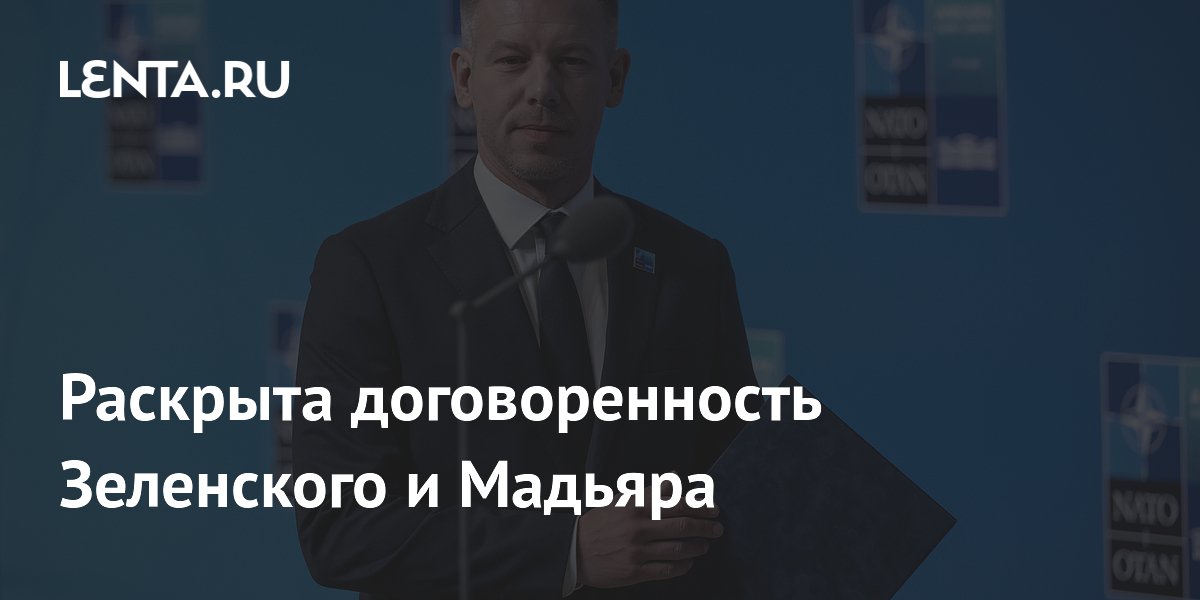 Раскрыта договоренность Зеленского и Мадьяра