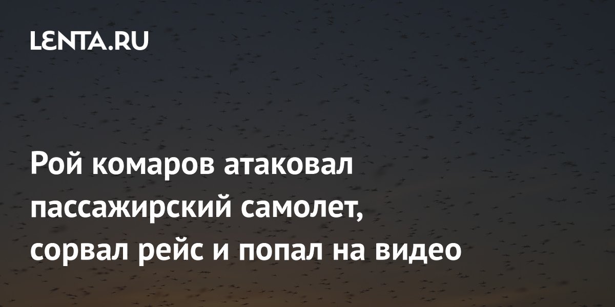 Рой комаров атаковал пассажирский самолет, сорвал рейс и попал на видео