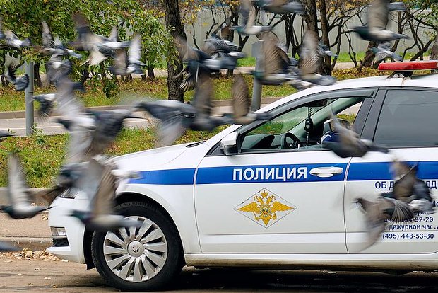 Вводная картинка