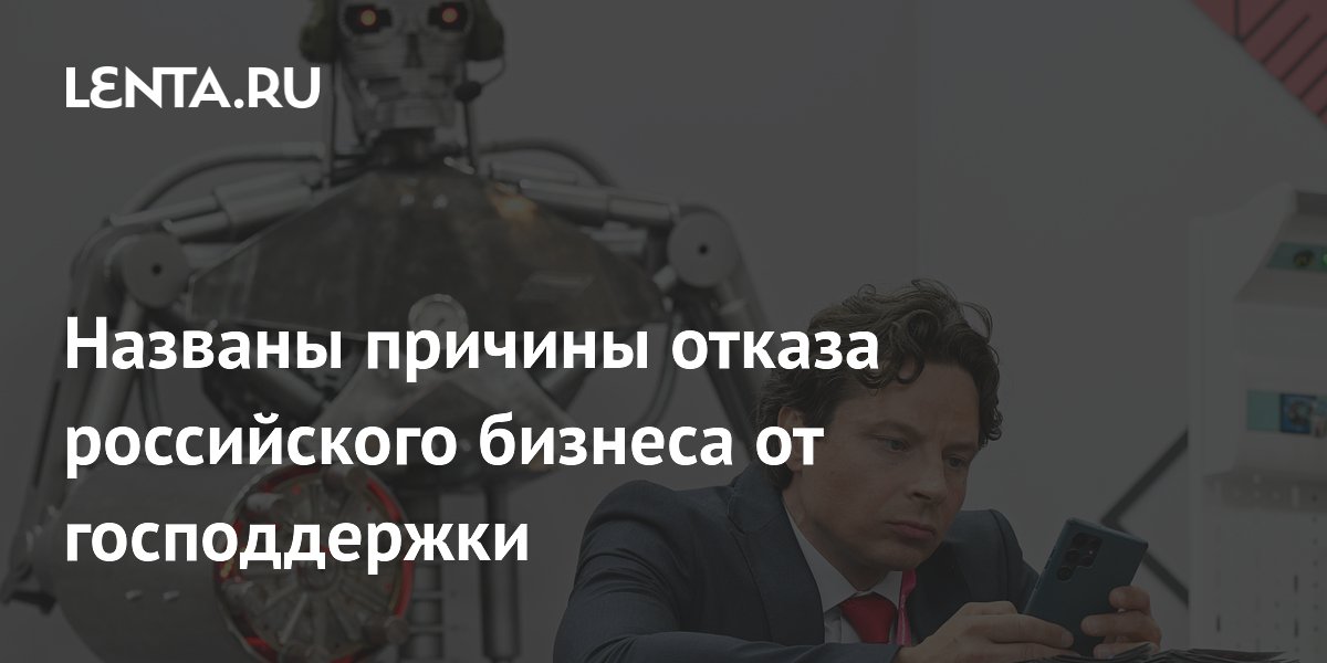 Названы причины отказа российского бизнеса от господдержки