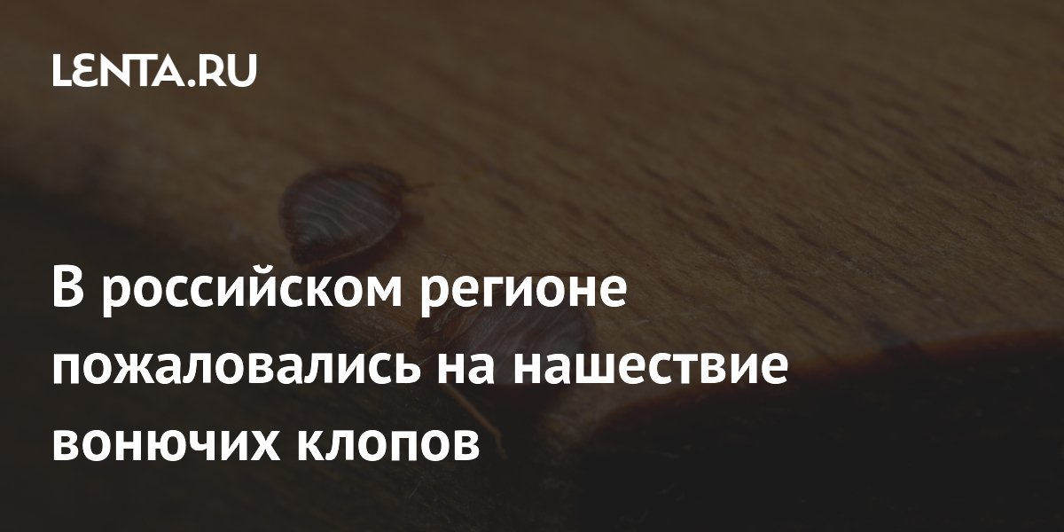 В российском регионе пожаловались на нашествие вонючих клопов