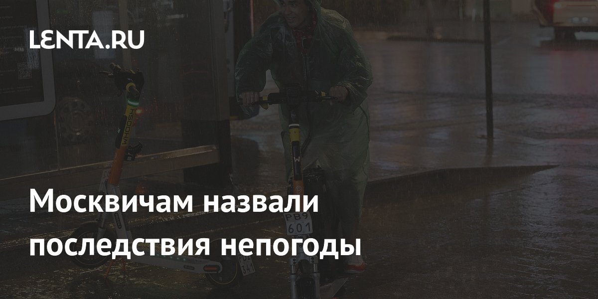 Москвичам назвали последствия непогоды