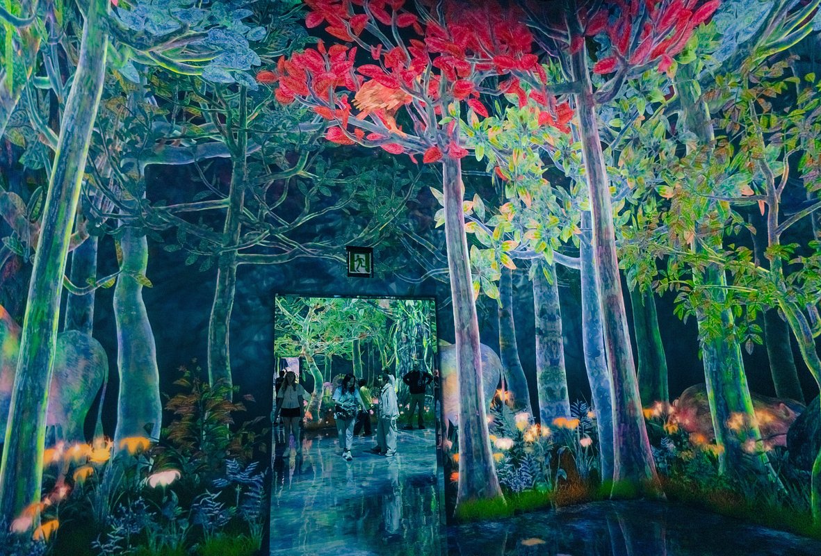 Музей teamLab Planets TOKYO DMM