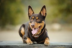 Архивное фото