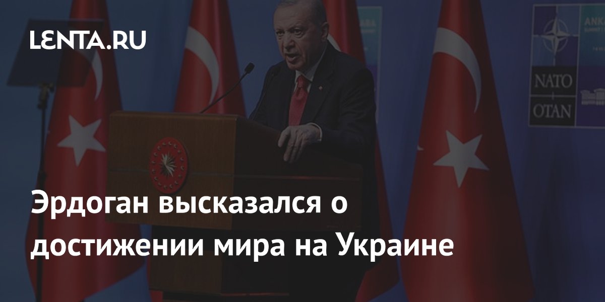 Эрдоган высказался о достижении мира на Украине