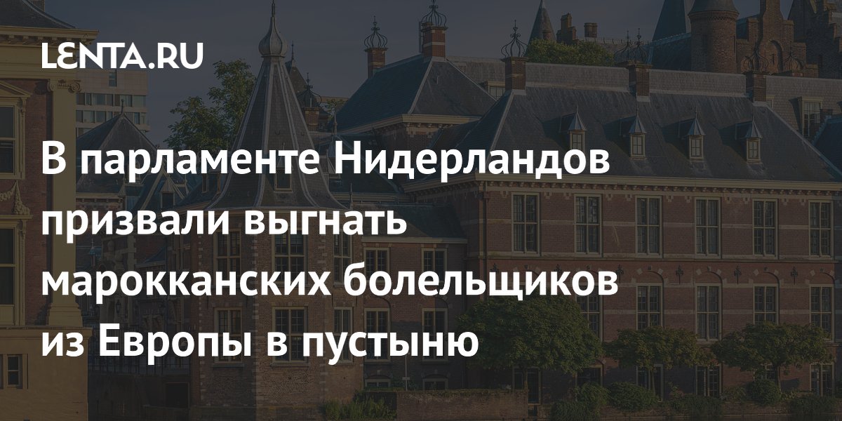 В парламенте Нидерландов призвали выгнать марокканских болельщиков из Европы в пустыню