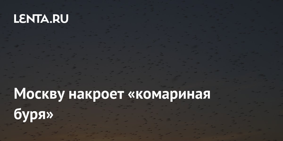 Москву накроет «комариная буря»