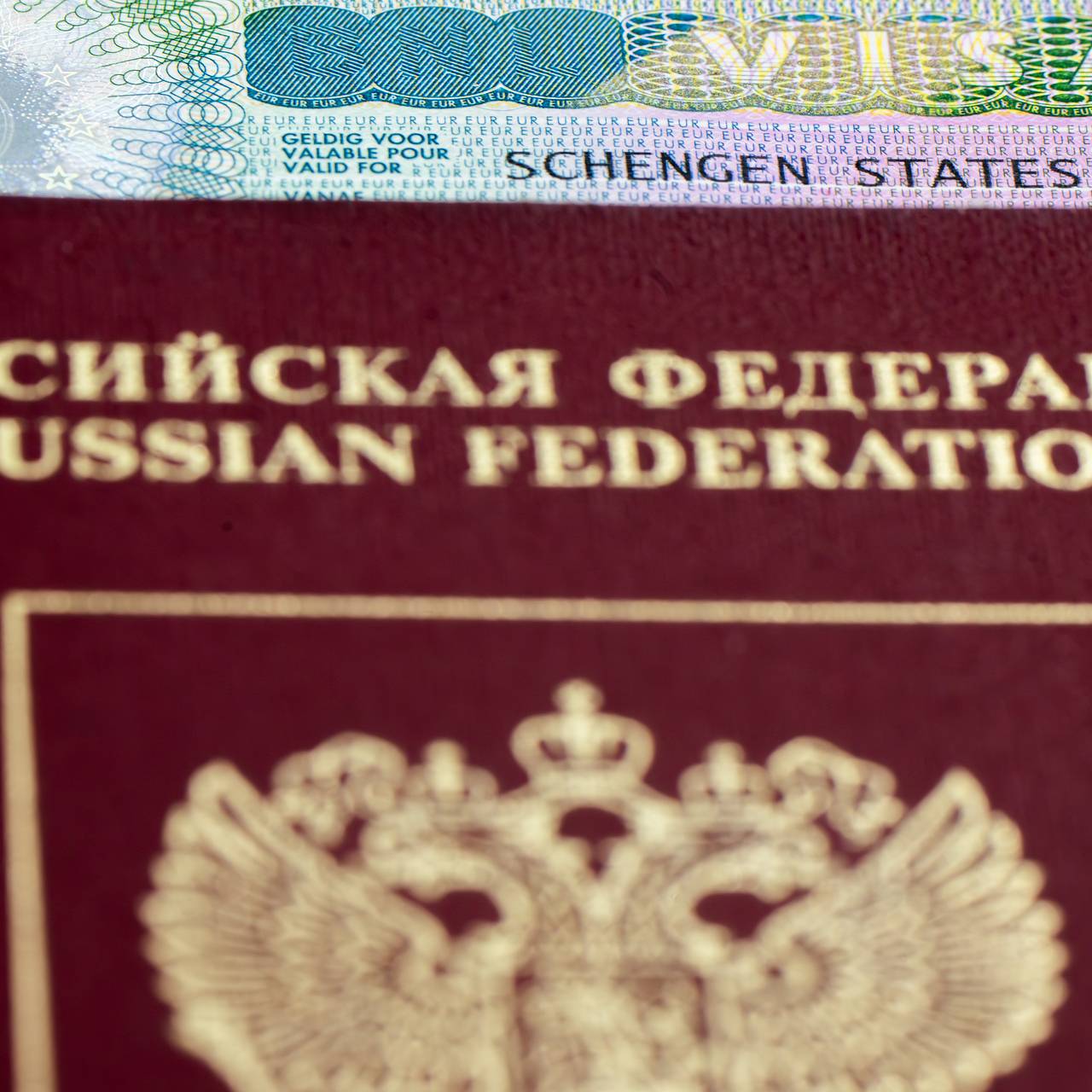 Живущая в Европе блогерша высказалась о связанных с российским паспортом предрассудках