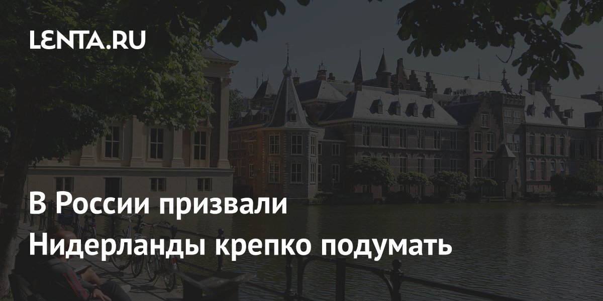 В России призвали Нидерланды крепко подумать