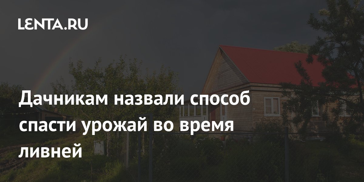 Дачникам назвали способ спасти урожай во время ливней
