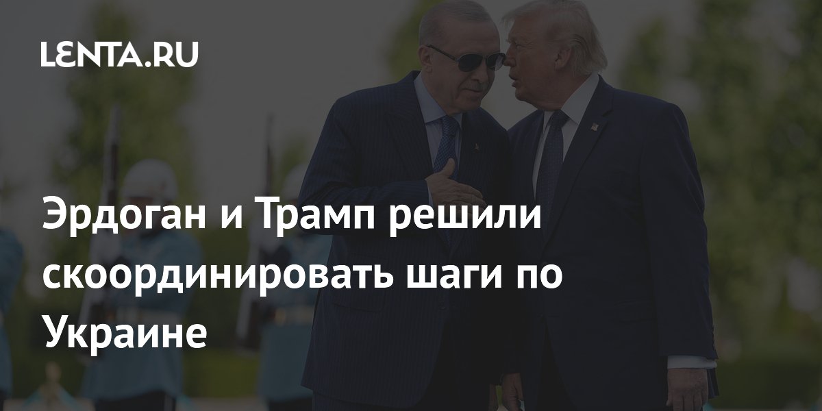 Эрдоган и Трамп решили скоординировать шаги по Украине