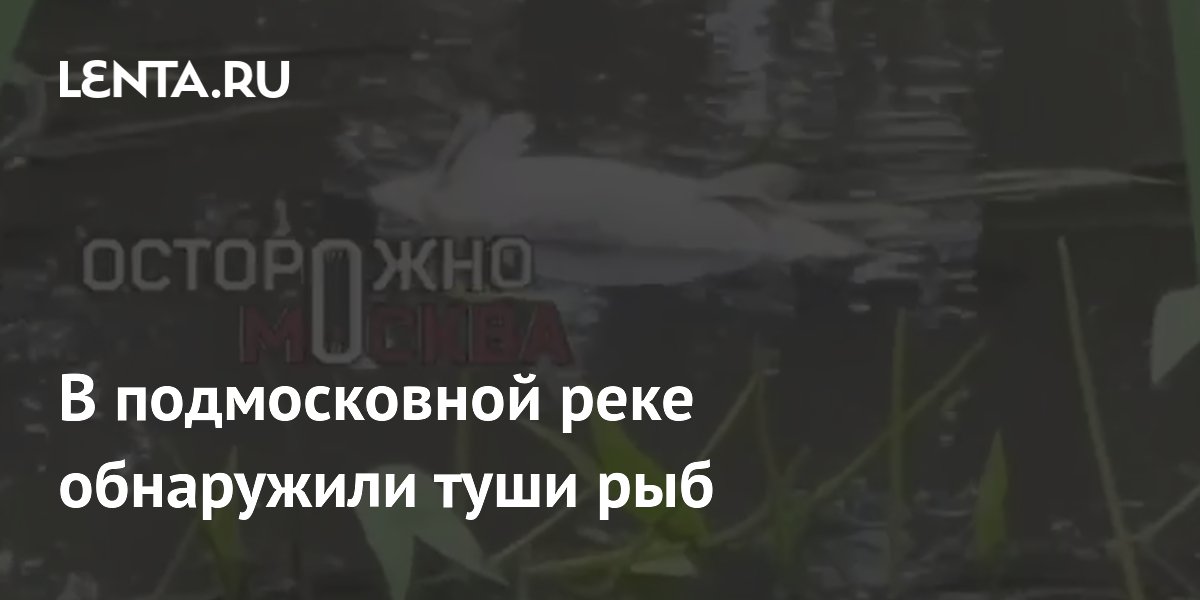 В подмосковной реке обнаружили туши рыб