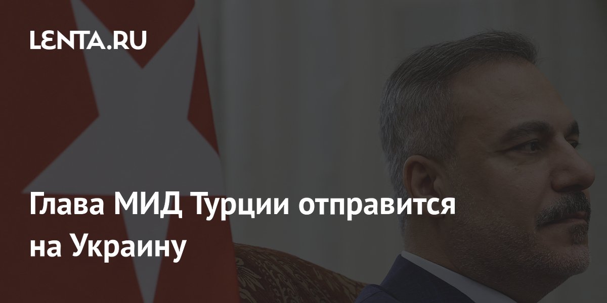 Глава МИД Турции отправится на Украину