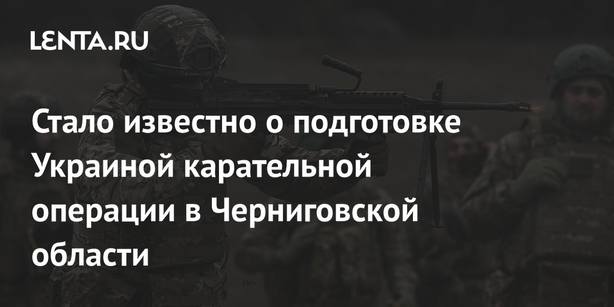 Стало известно о подготовке Украиной карательной операции в Черниговской области