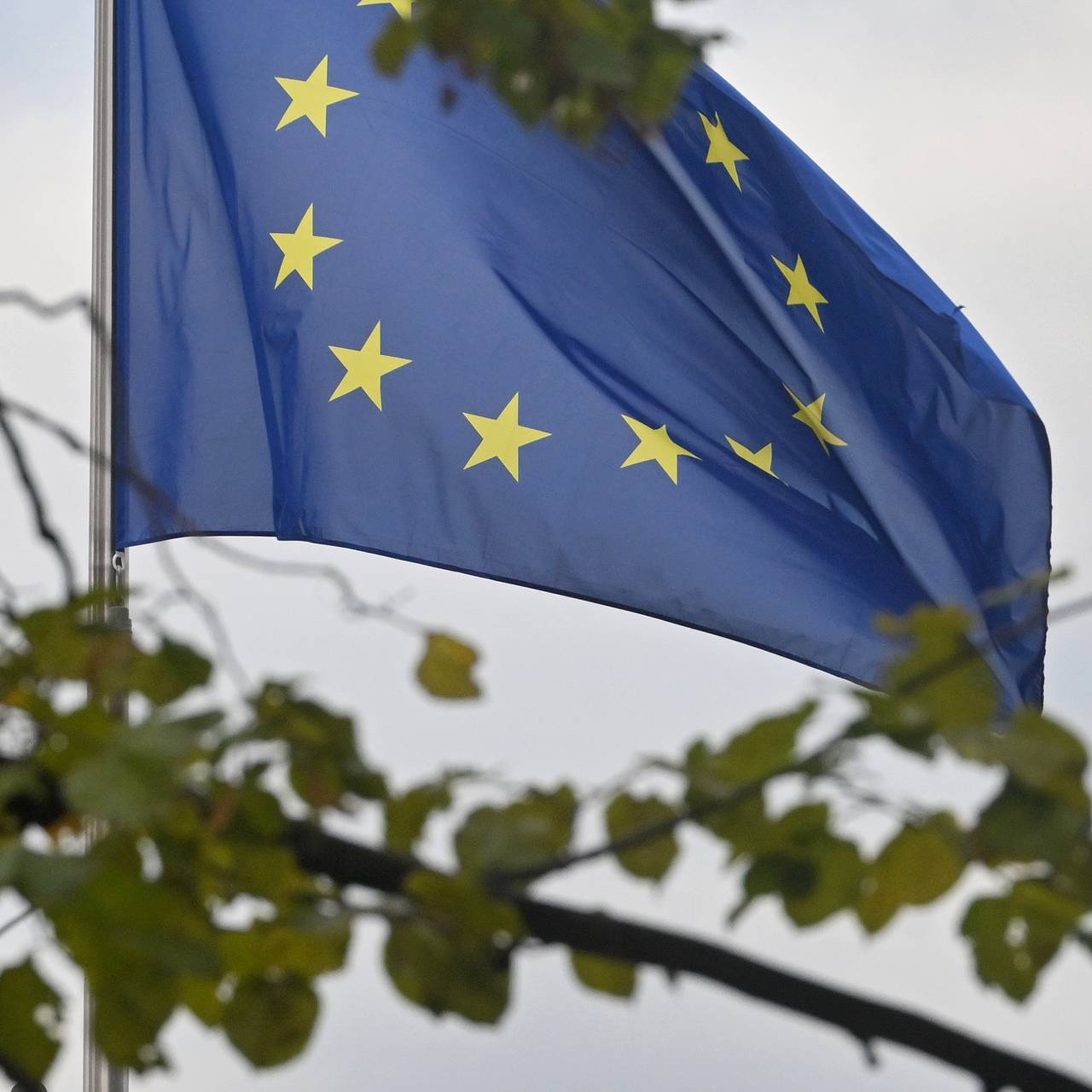 В европейской стране призвали прекратить помощь Украине