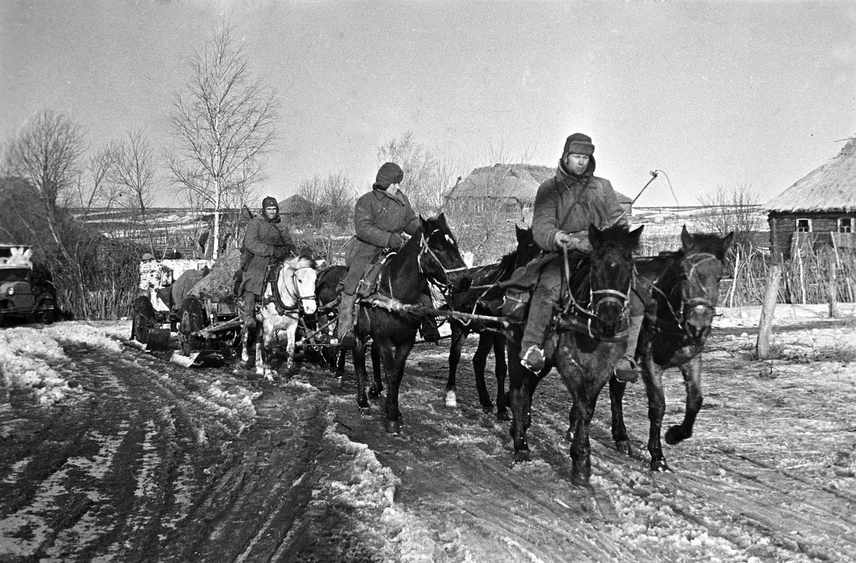 Вяземская оборонительная операция (2-13 октября 1941 года) Западного и Резервного фронтов. Конный обоз артиллерии 144-й стрелковой дивизии выдвигается на линию фронта северо-западнее Вязьмы