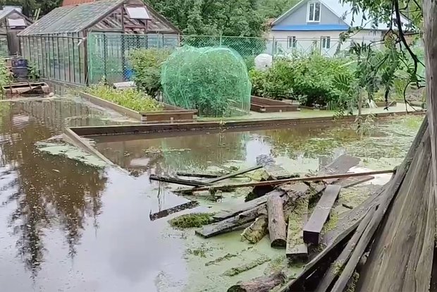 Вводная картинка