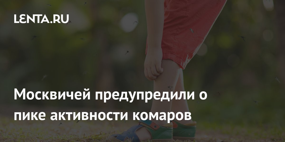 Москвичей предупредили о пике активности комаров