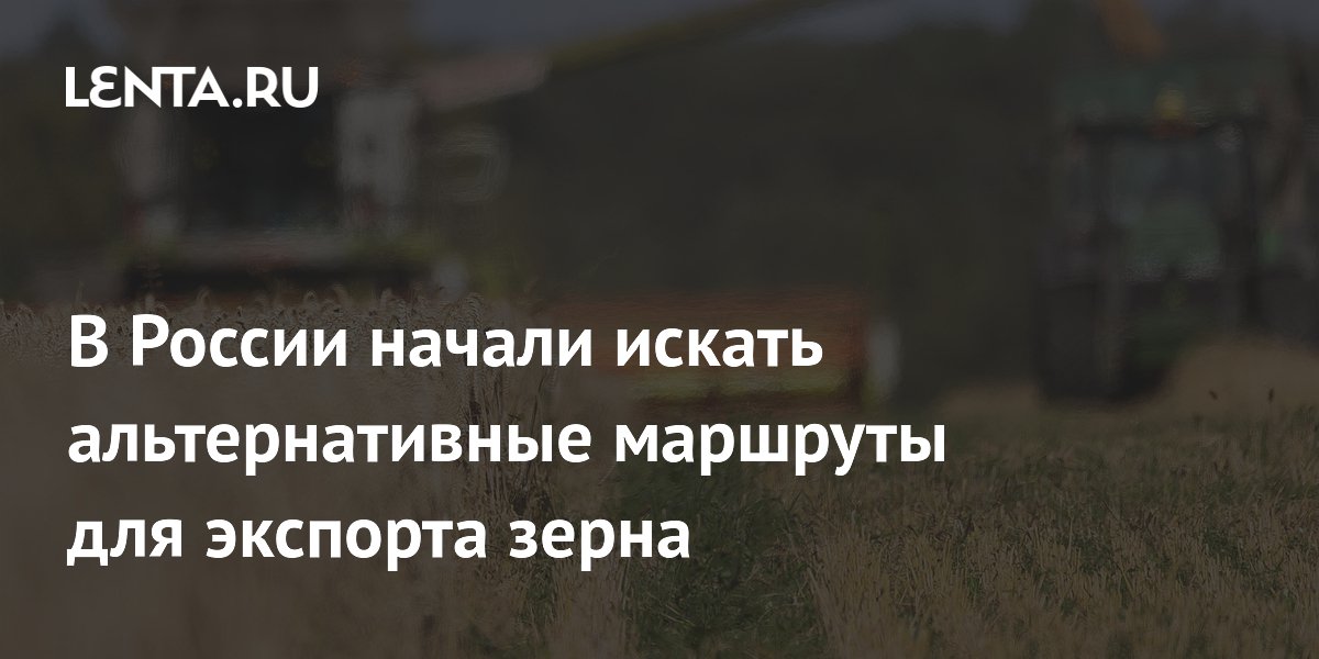 В России начали искать альтернативные маршруты для экспорта зерна