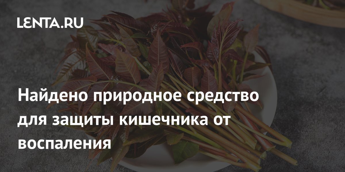 Найдено природное средство для защиты кишечника от воспаления