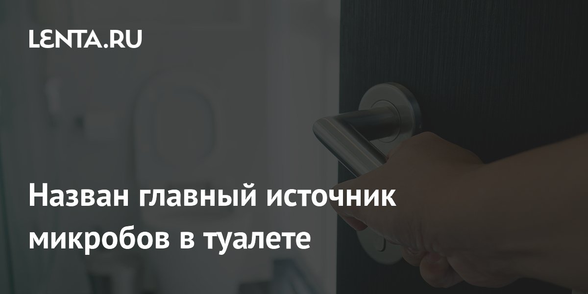 Назван главный источник микробов в туалете