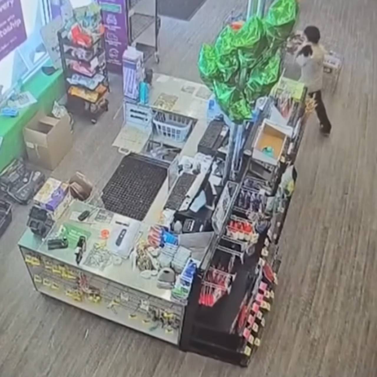 Котенок стал соучастником ограбления банка