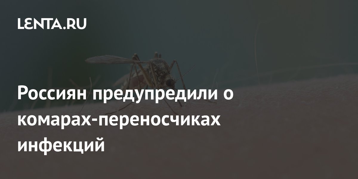Россиян предупредили о комарах-переносчиках инфекций
