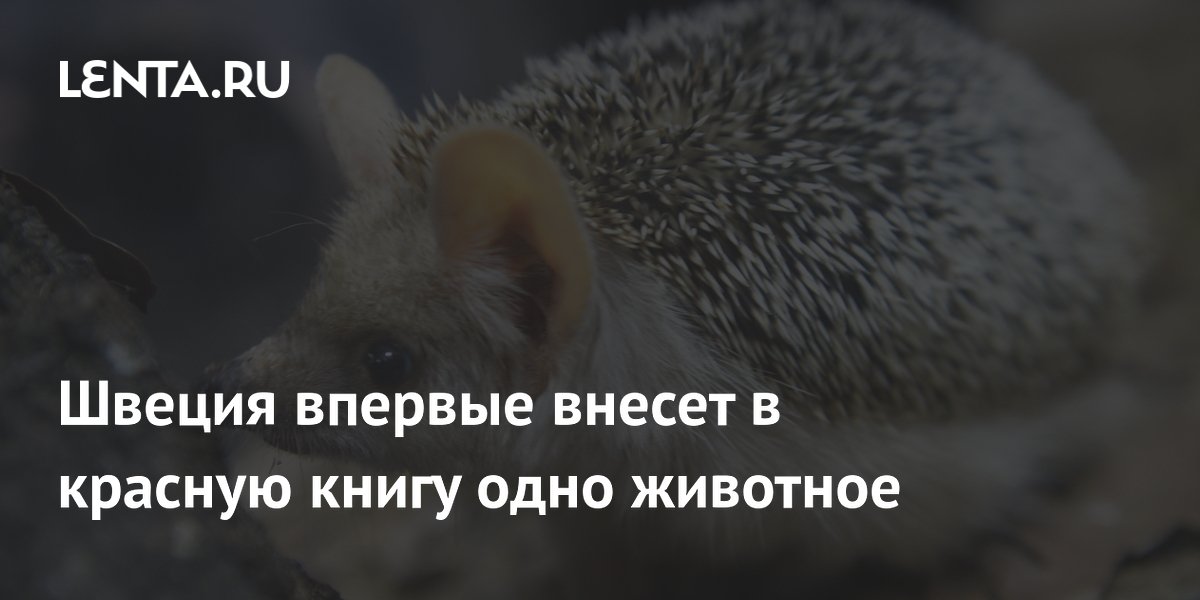 Швеция впервые внесет в красную книгу одно животное