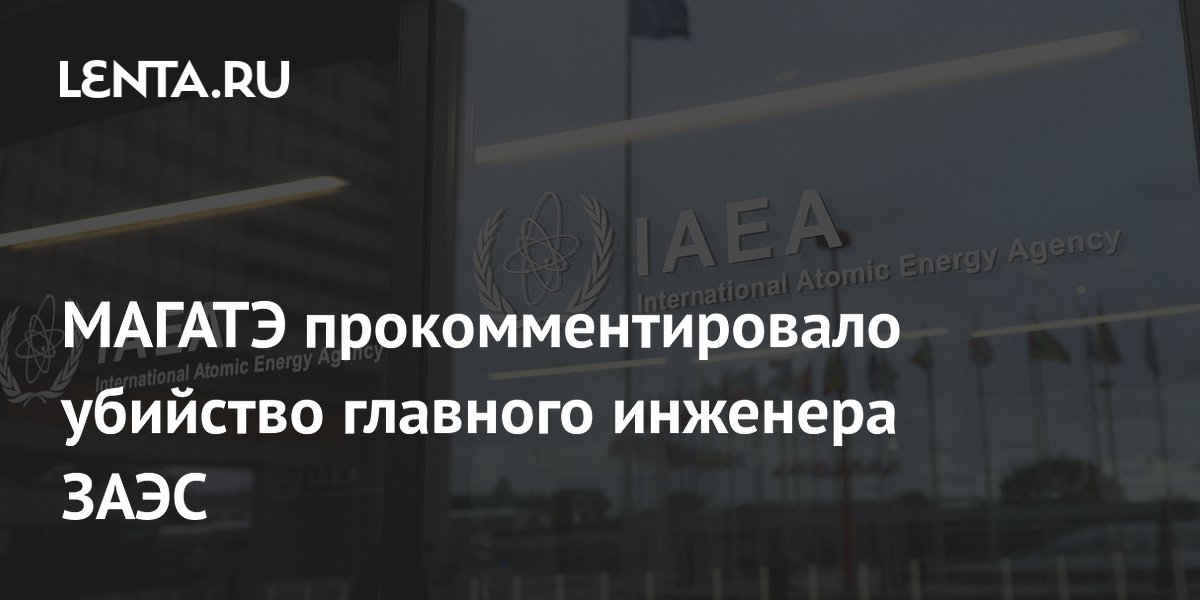 МАГАТЭ прокомментировало убийство главного инженера ЗАЭС
