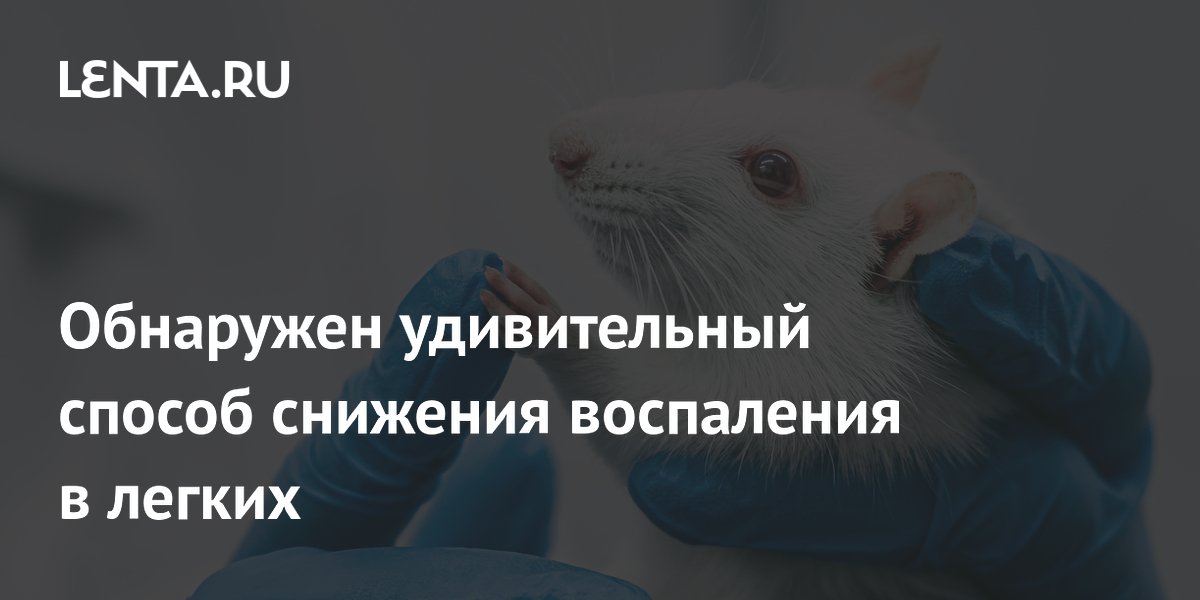 Обнаружен удивительный способ снижения воспаления в легких