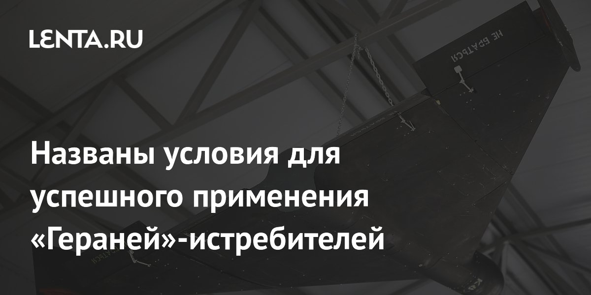 Названы условия для успешного применения «Гераней»-истребителей