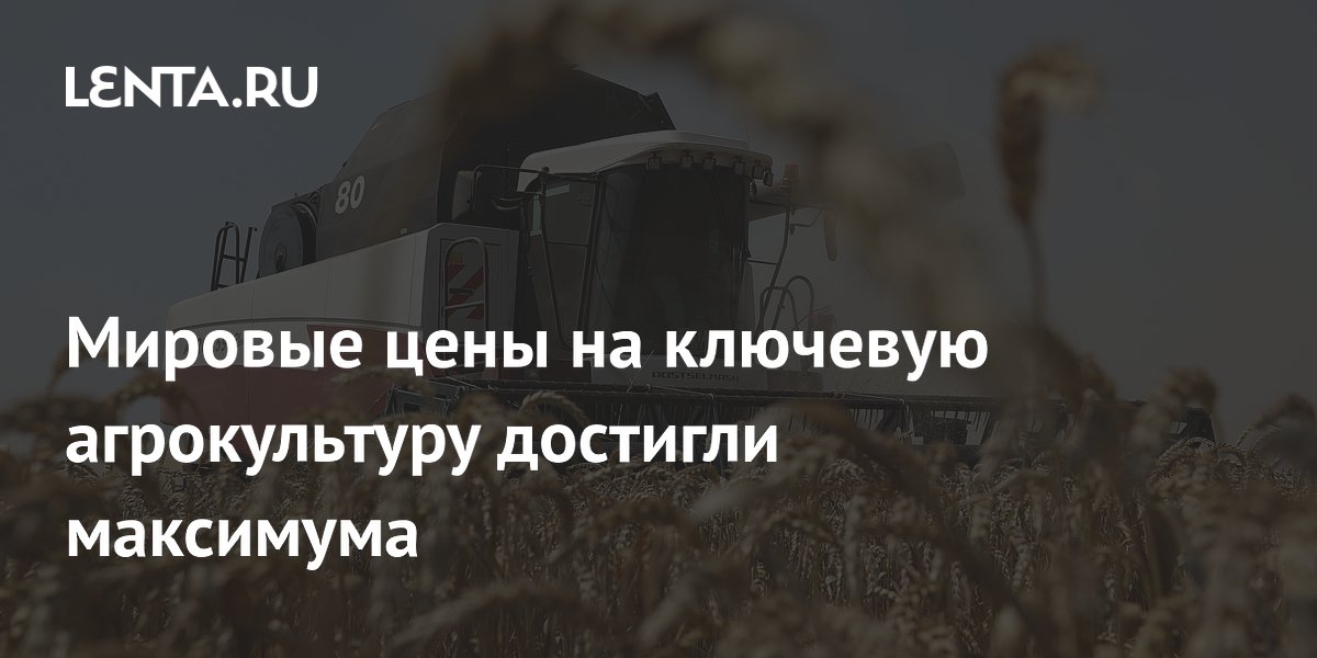 Мировые цены на ключевую агрокультуру достигли максимума